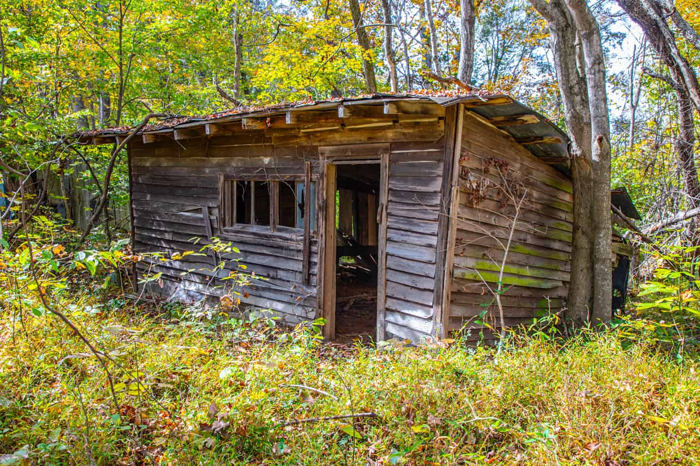 65-Acre Farm in Science Hill, KY – Cropland, Pasture & Hunting