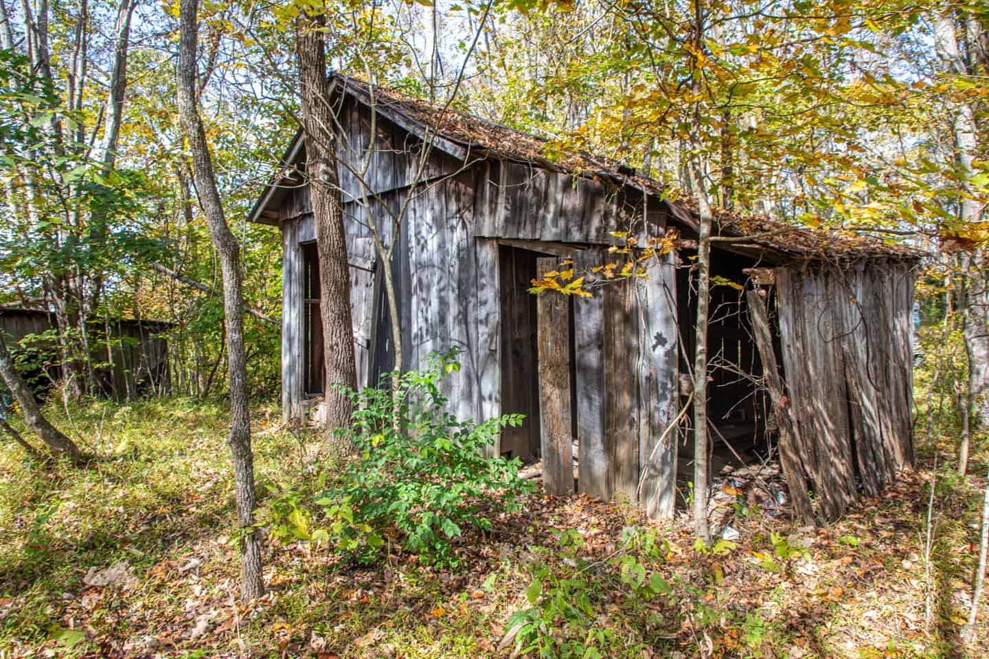 65-Acre Farm in Science Hill, KY – Cropland, Pasture & Hunting