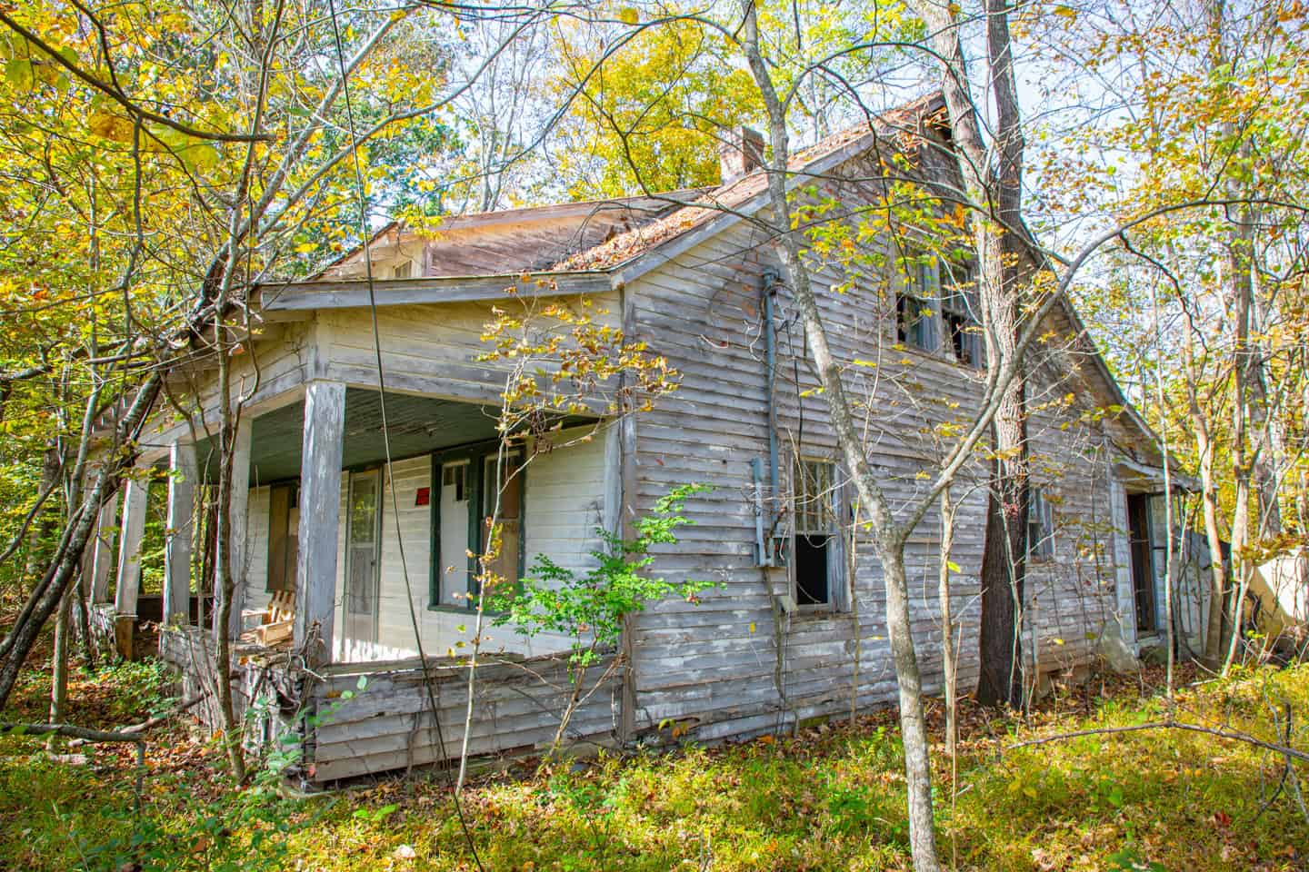 65-Acre Farm in Science Hill, KY – Cropland, Pasture & Hunting