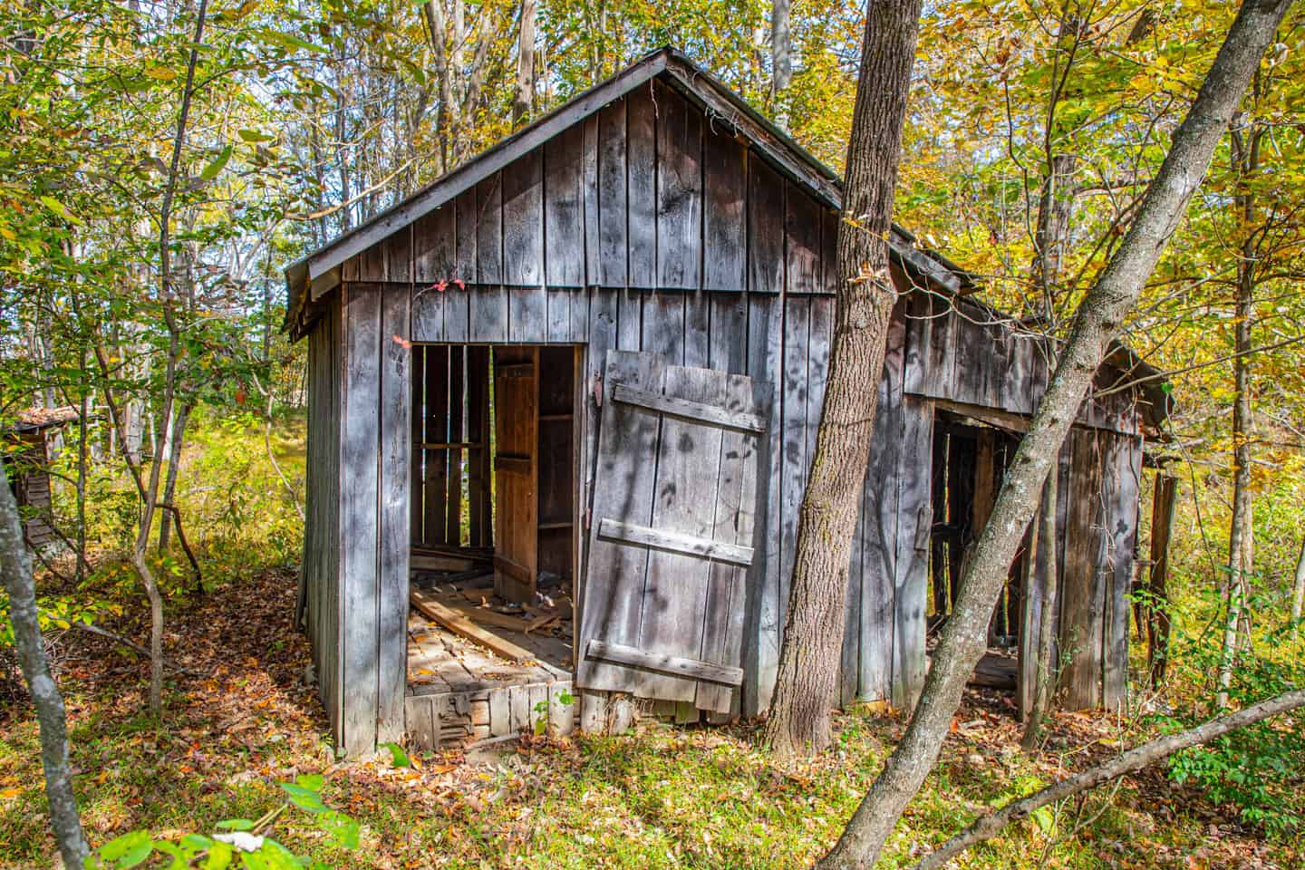 65-Acre Farm in Science Hill, KY – Cropland, Pasture & Hunting