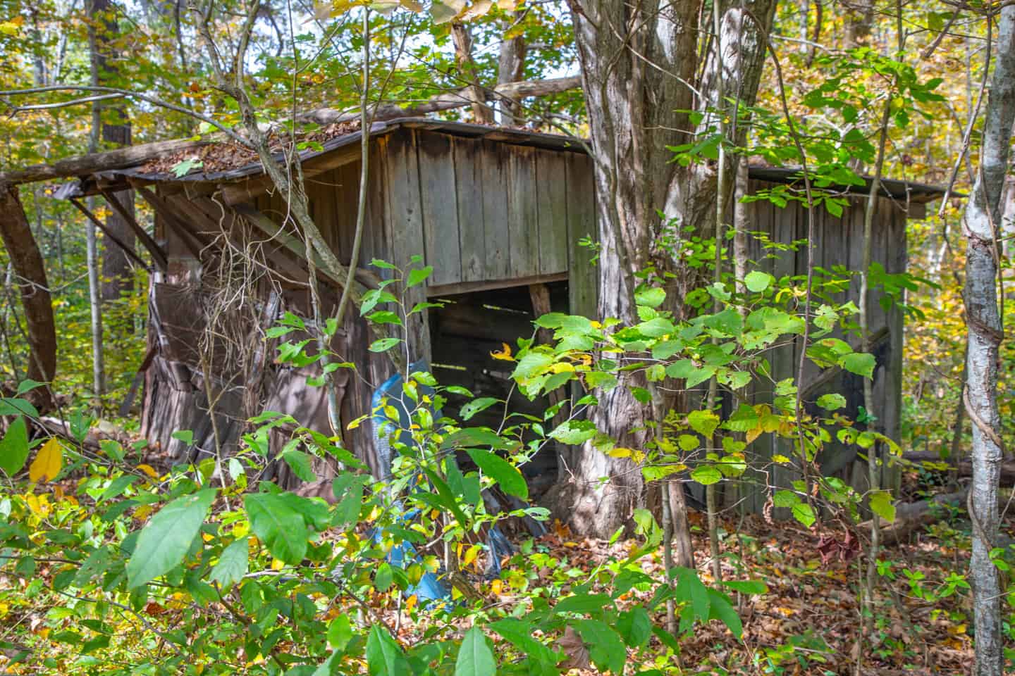 65-Acre Farm in Science Hill, KY – Cropland, Pasture & Hunting