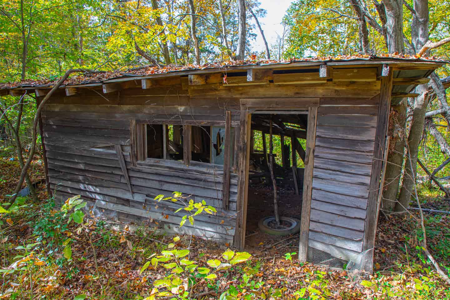 65-Acre Farm in Science Hill, KY – Cropland, Pasture & Hunting