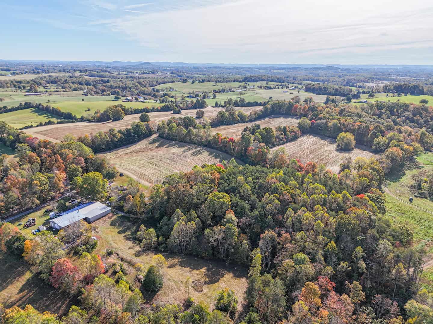65-Acre Farm in Science Hill, KY – Cropland, Pasture & Hunting