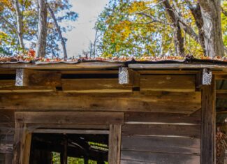 65-Acre Farm in Science Hill, KY – Cropland, Pasture & Hunting