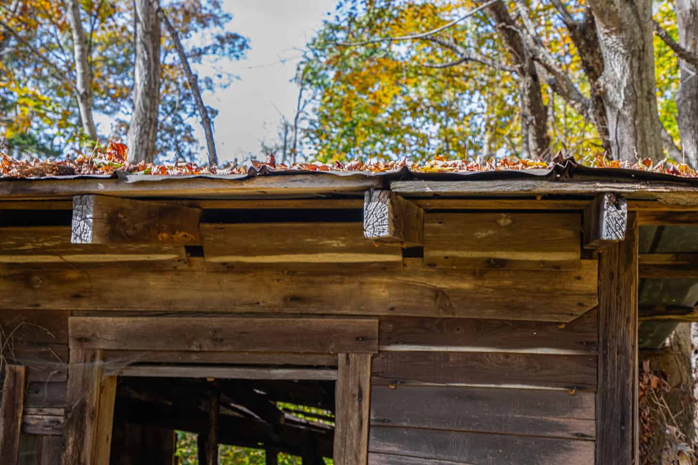 65-Acre Farm in Science Hill, KY – Cropland, Pasture & Hunting