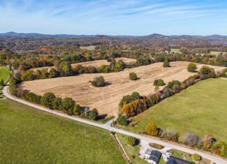 65-Acre Farm in Science Hill, KY – Cropland, Pasture & Hunting