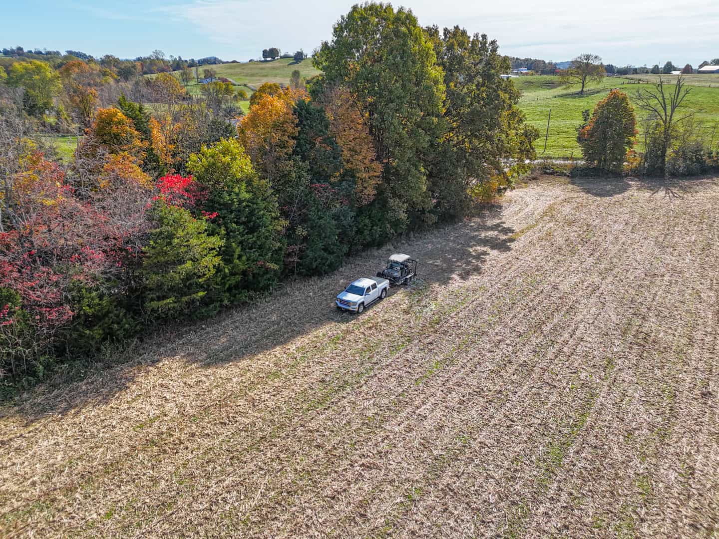 65-Acre Farm in Science Hill, KY – Cropland, Pasture & Hunting