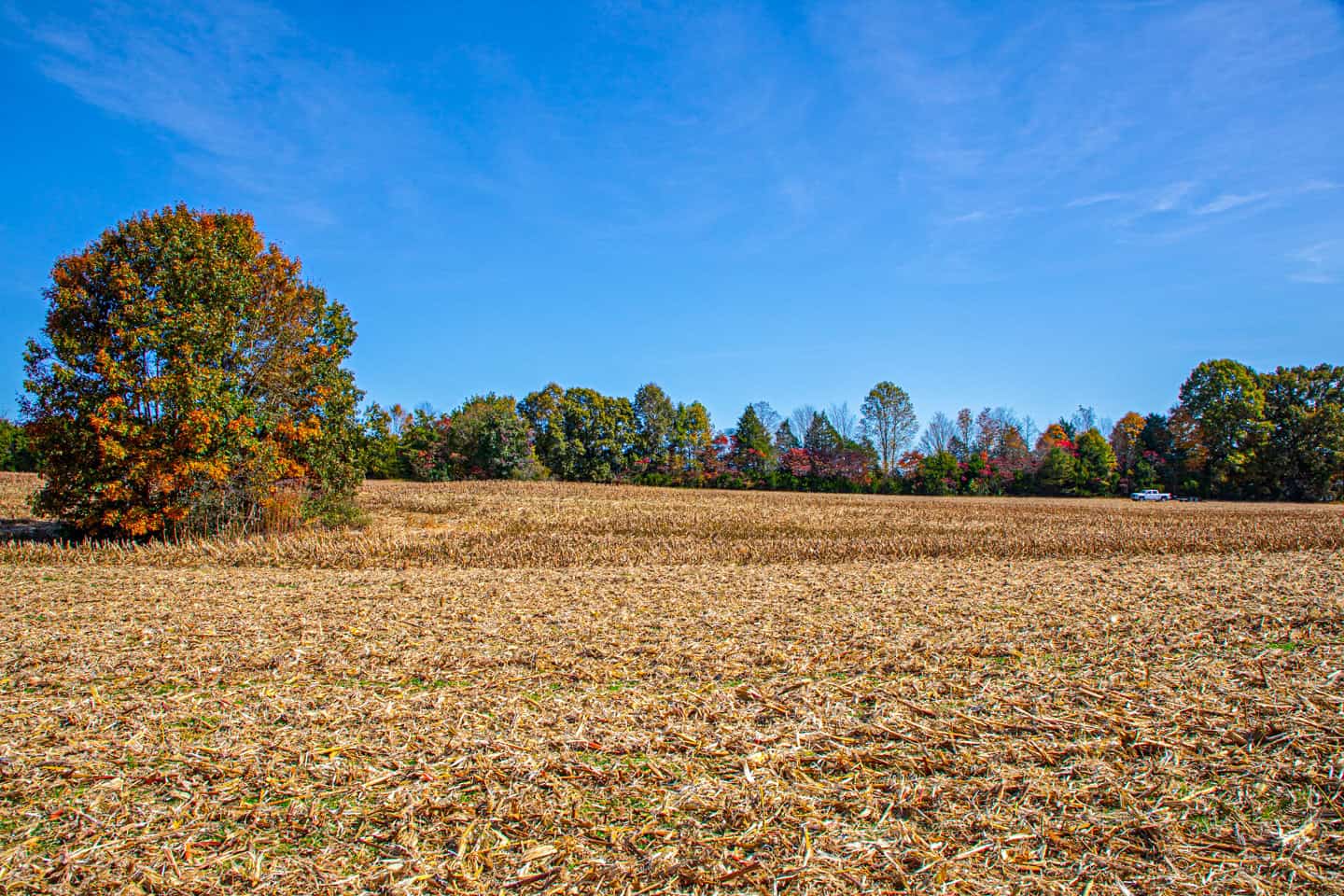 65-Acre Farm in Science Hill, KY – Cropland, Pasture & Hunting