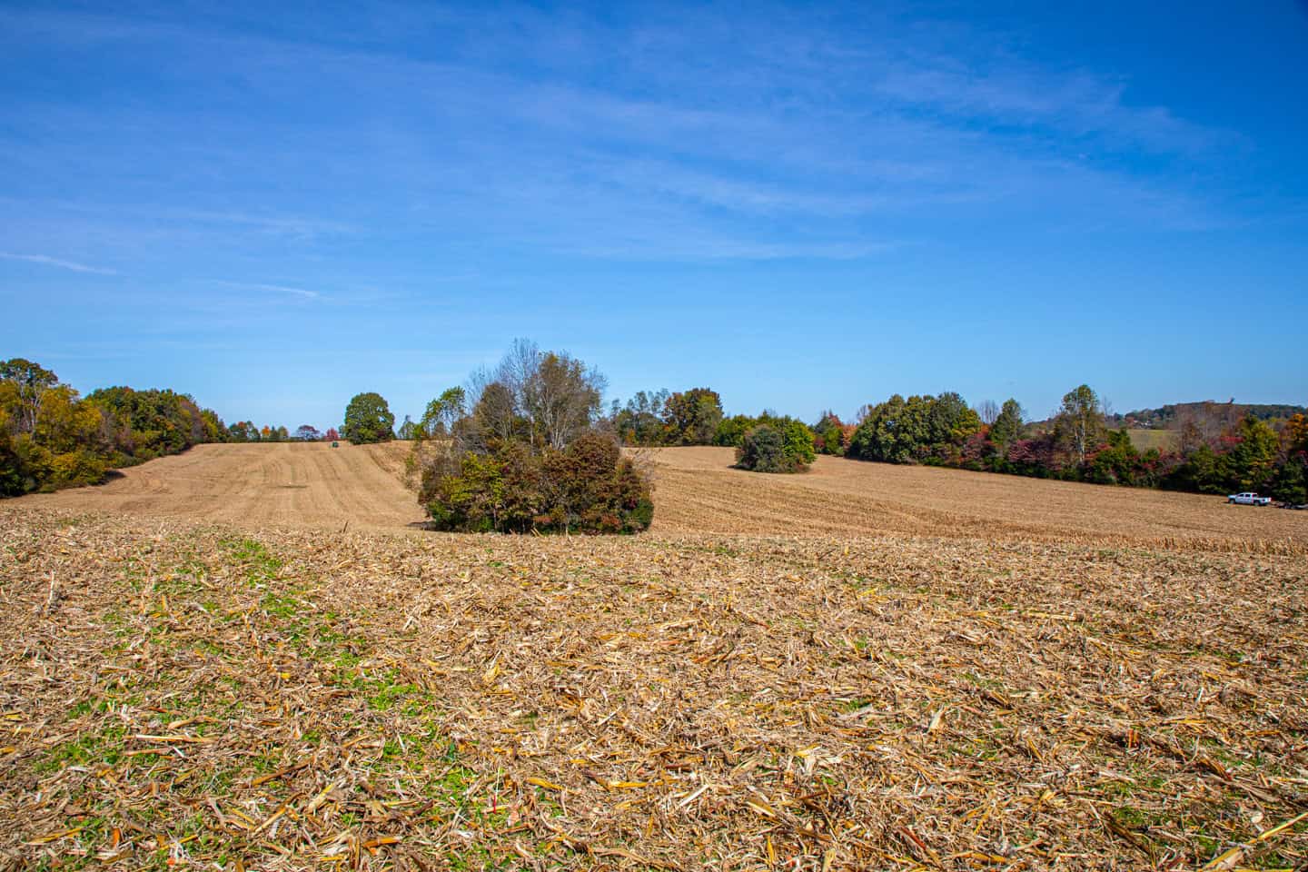 65-Acre Farm in Science Hill, KY – Cropland, Pasture & Hunting