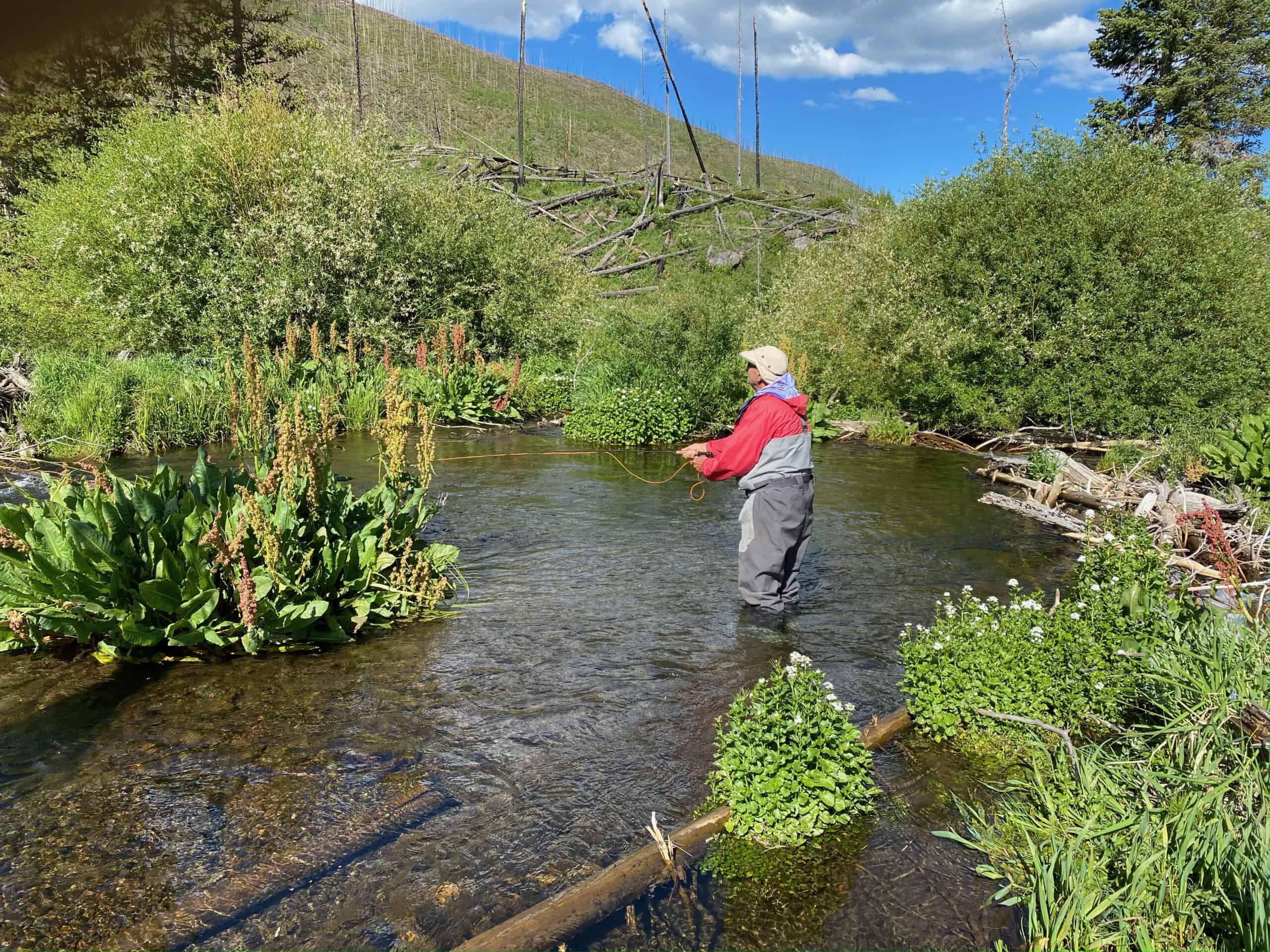 Premier Colorado Wilderness Lodge & Big Game Outfitter for Sale