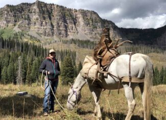 Premier Colorado Wilderness Lodge & Big Game Outfitter for Sale