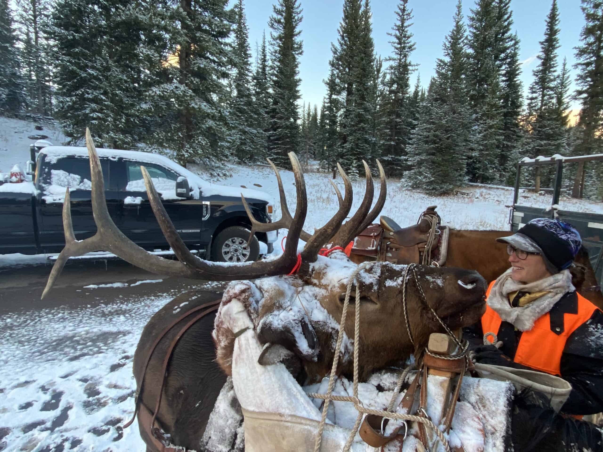Premier Colorado Wilderness Lodge & Big Game Outfitter for Sale