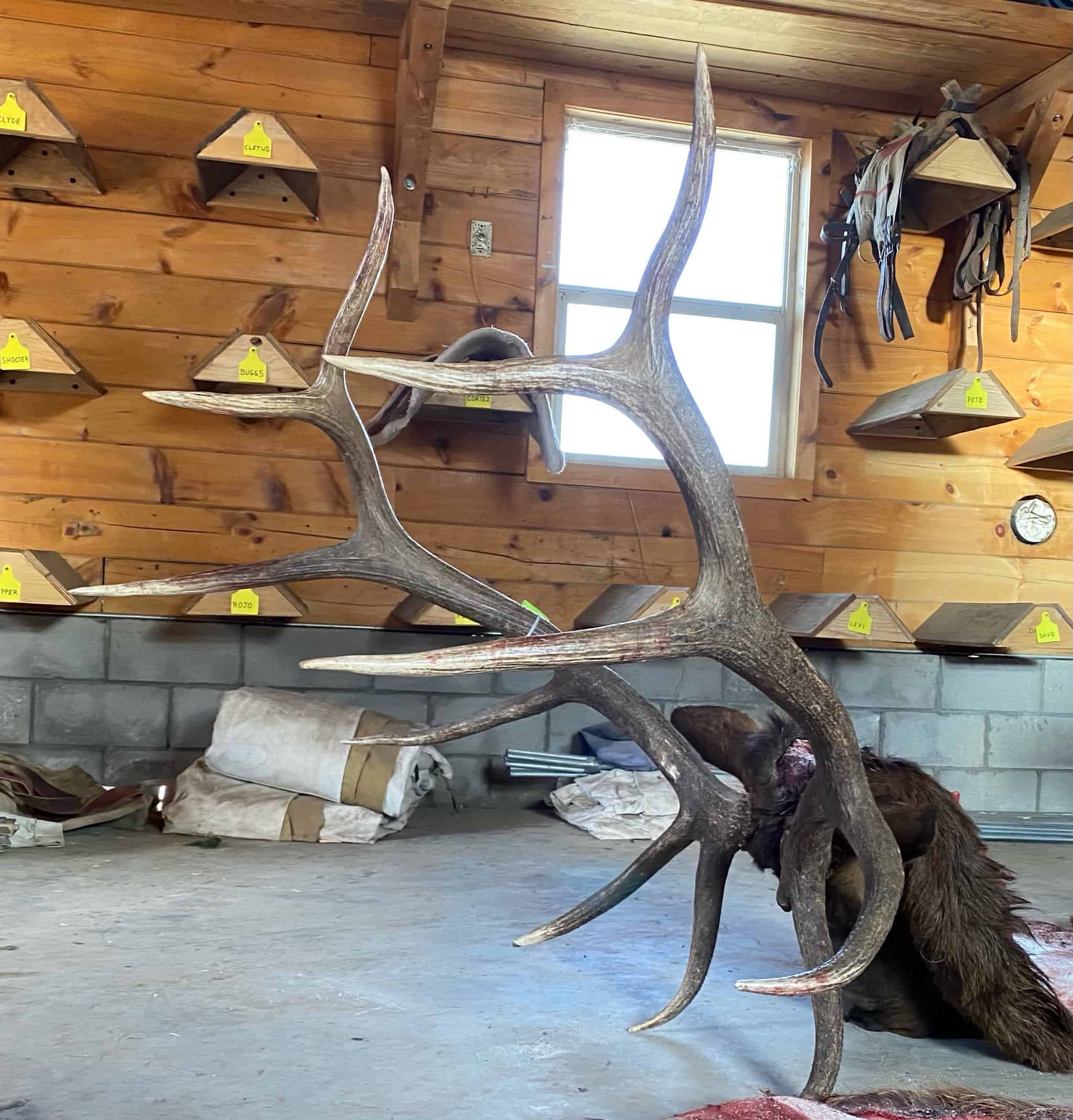 Premier Colorado Wilderness Lodge & Big Game Outfitter for Sale