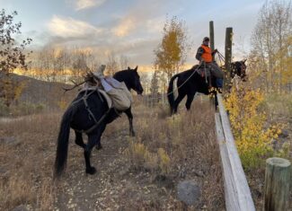 Premier Colorado Wilderness Lodge & Big Game Outfitter for Sale