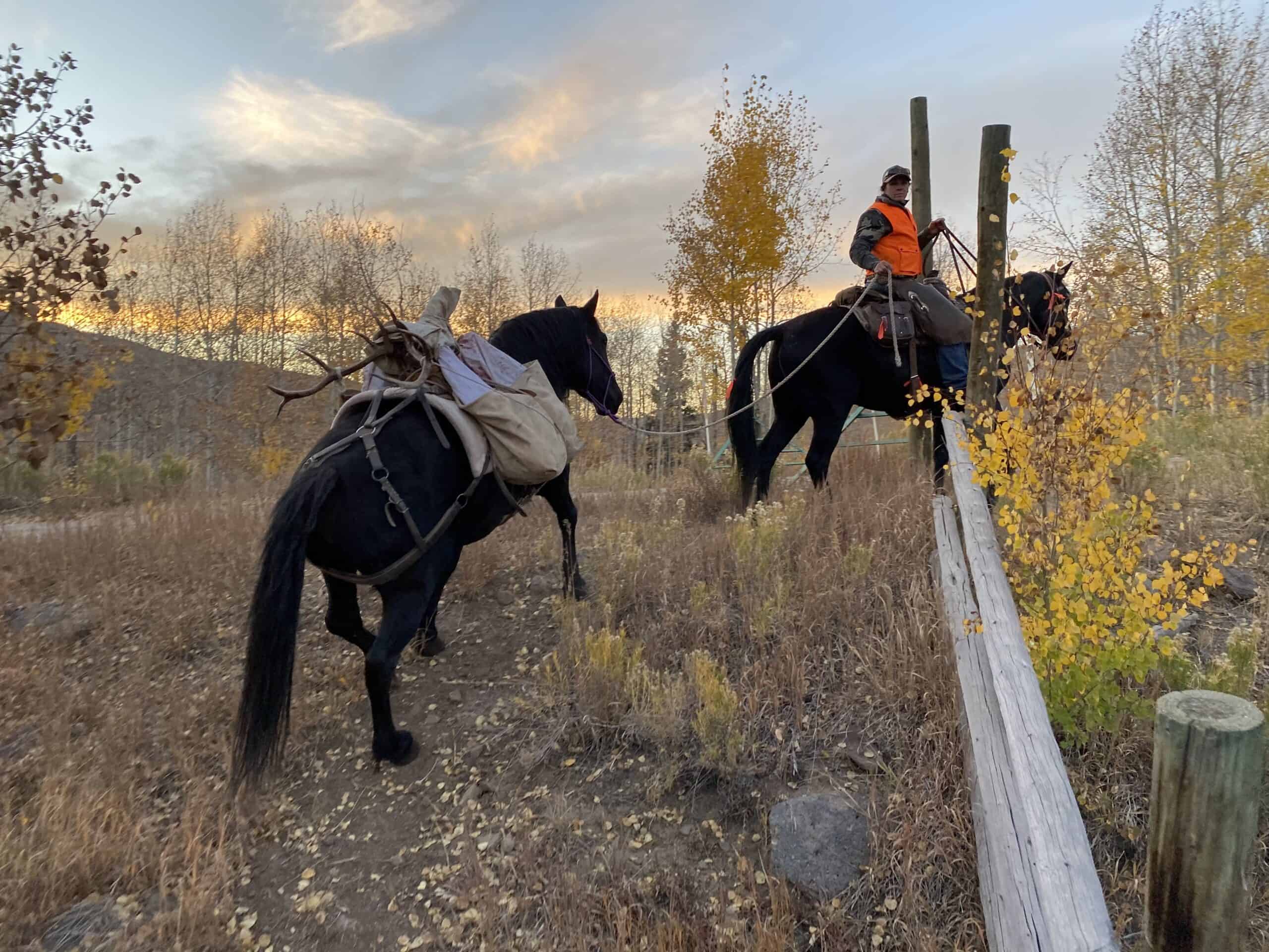 Premier Colorado Wilderness Lodge & Big Game Outfitter for Sale