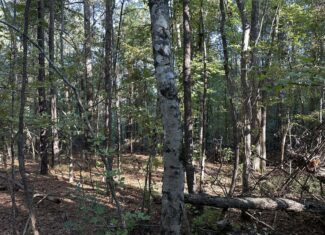 East Texas Hunting/Recreational Tract For Sale