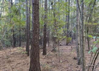 East Texas Hunting/Recreational Tract For Sale