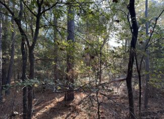 East Texas Hunting/Recreational Tract For Sale
