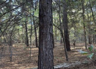 East Texas Hunting/Recreational Tract For Sale
