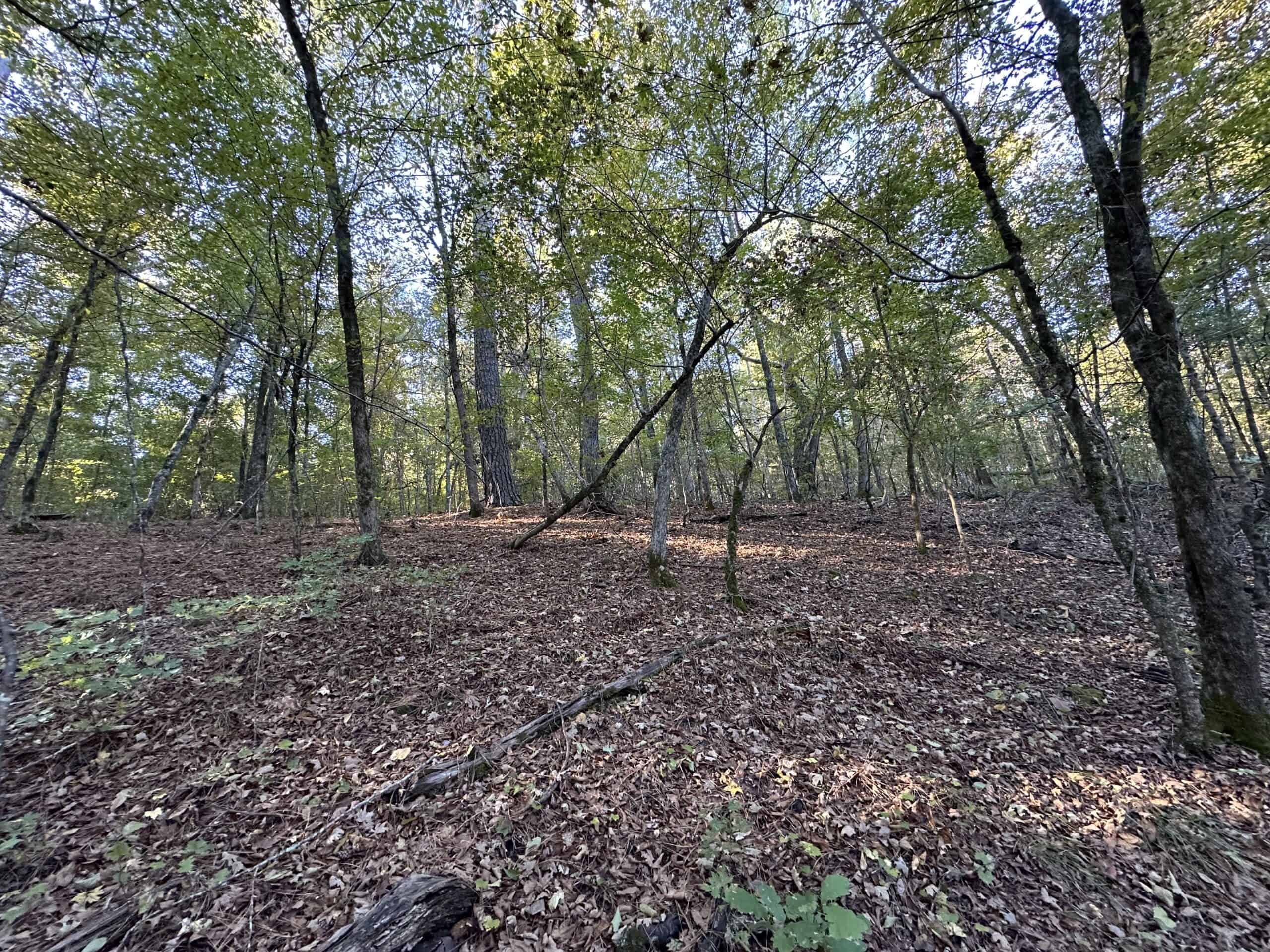 East Texas Hunting/Recreational Tract For Sale