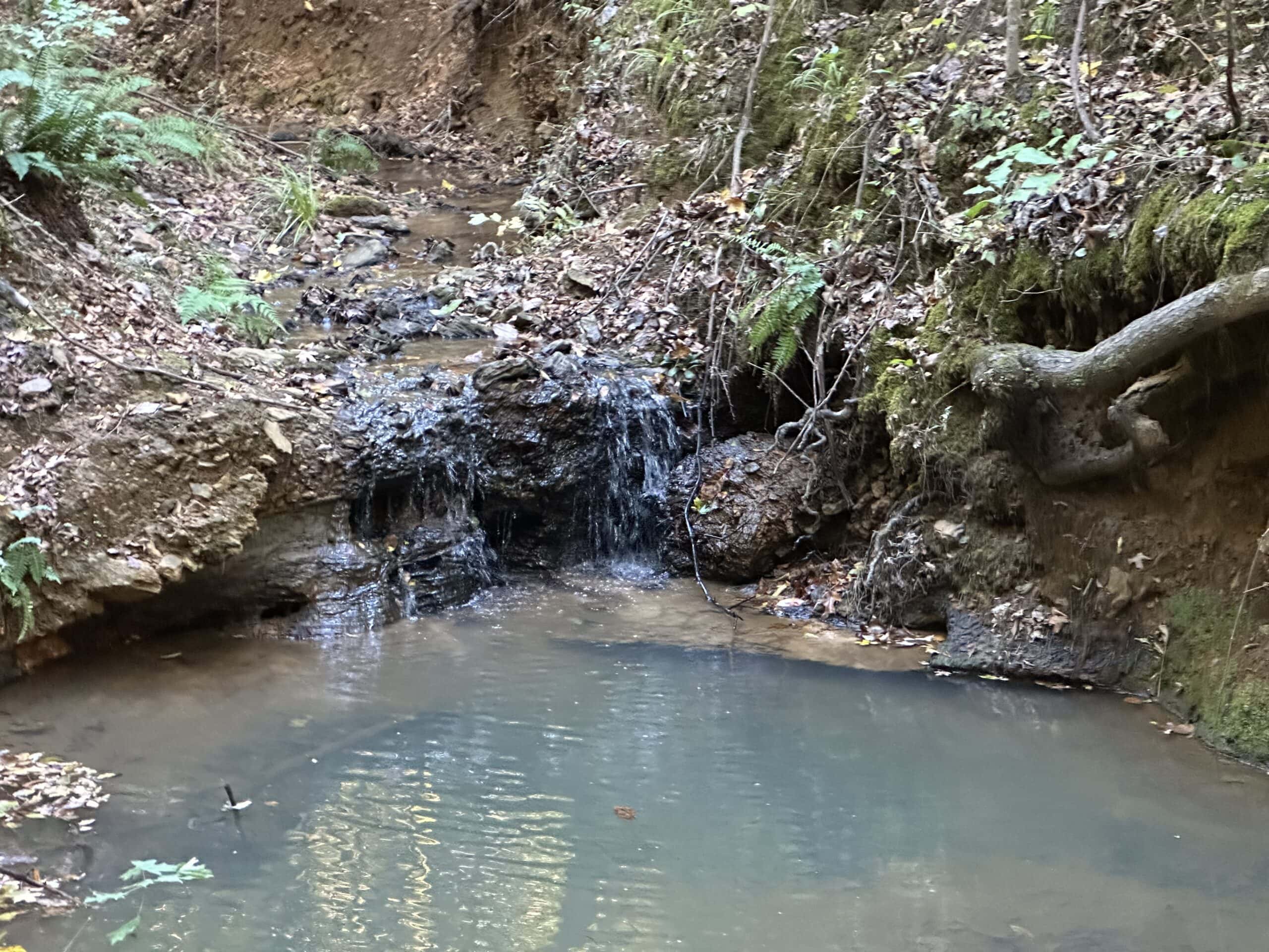 East Texas Hunting/Recreational Tract For Sale