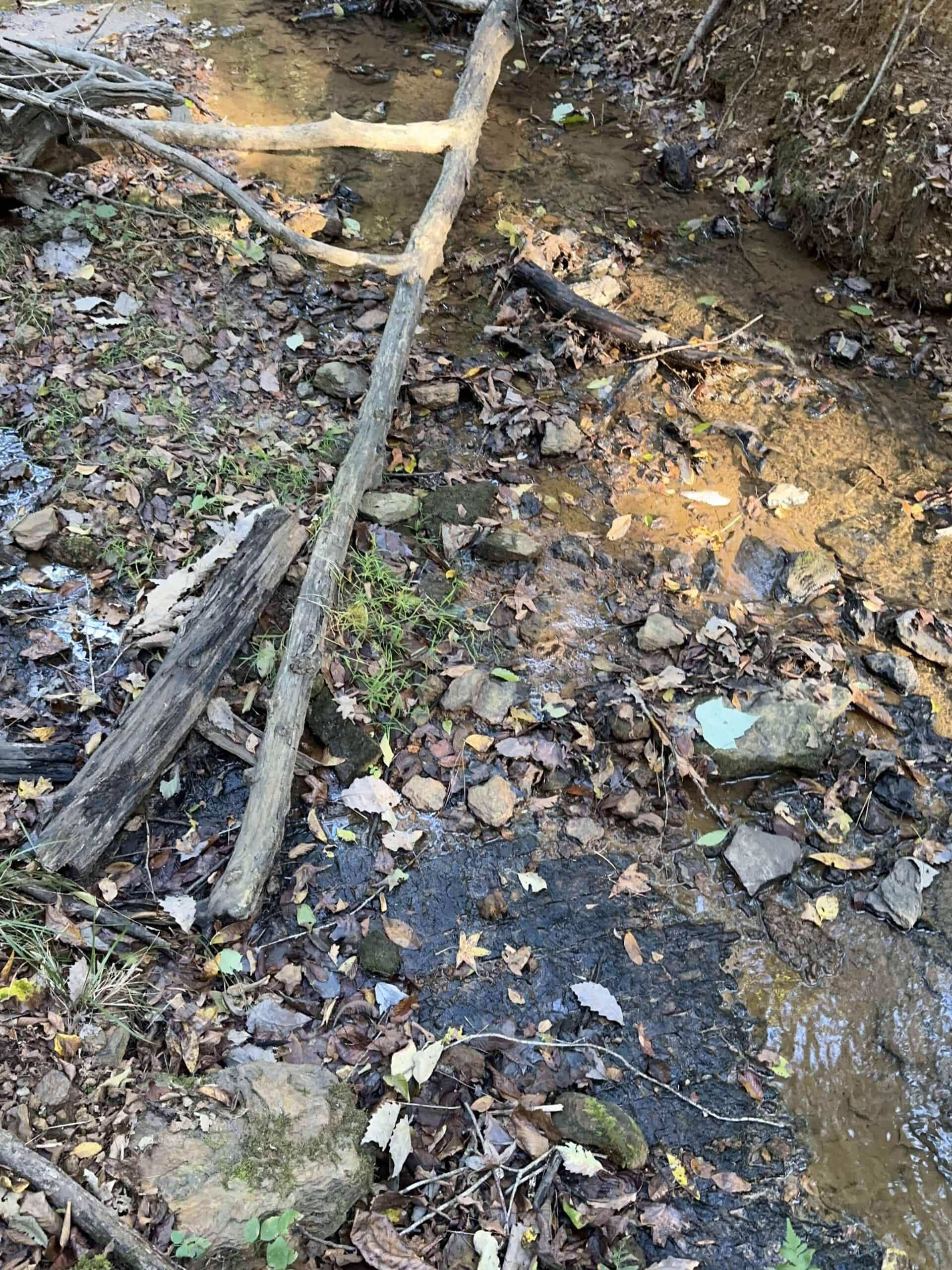 East Texas Hunting/Recreational Tract For Sale