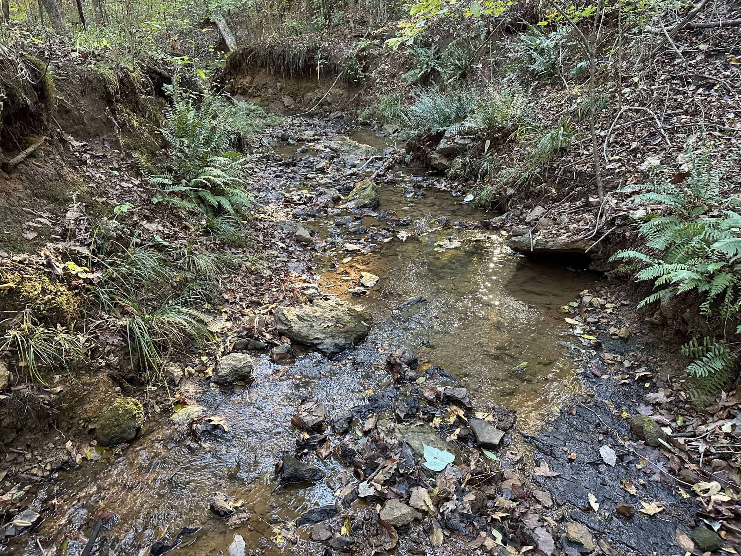 East Texas Hunting/Recreational Tract For Sale