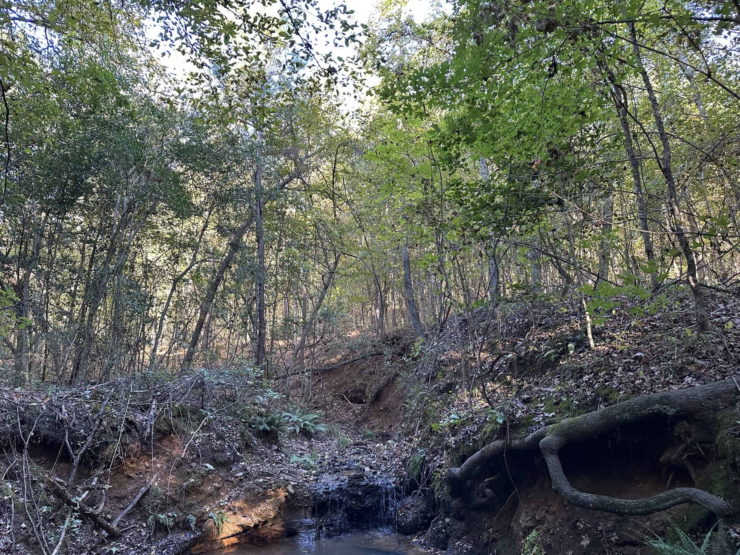 East Texas Hunting/Recreational Tract For Sale