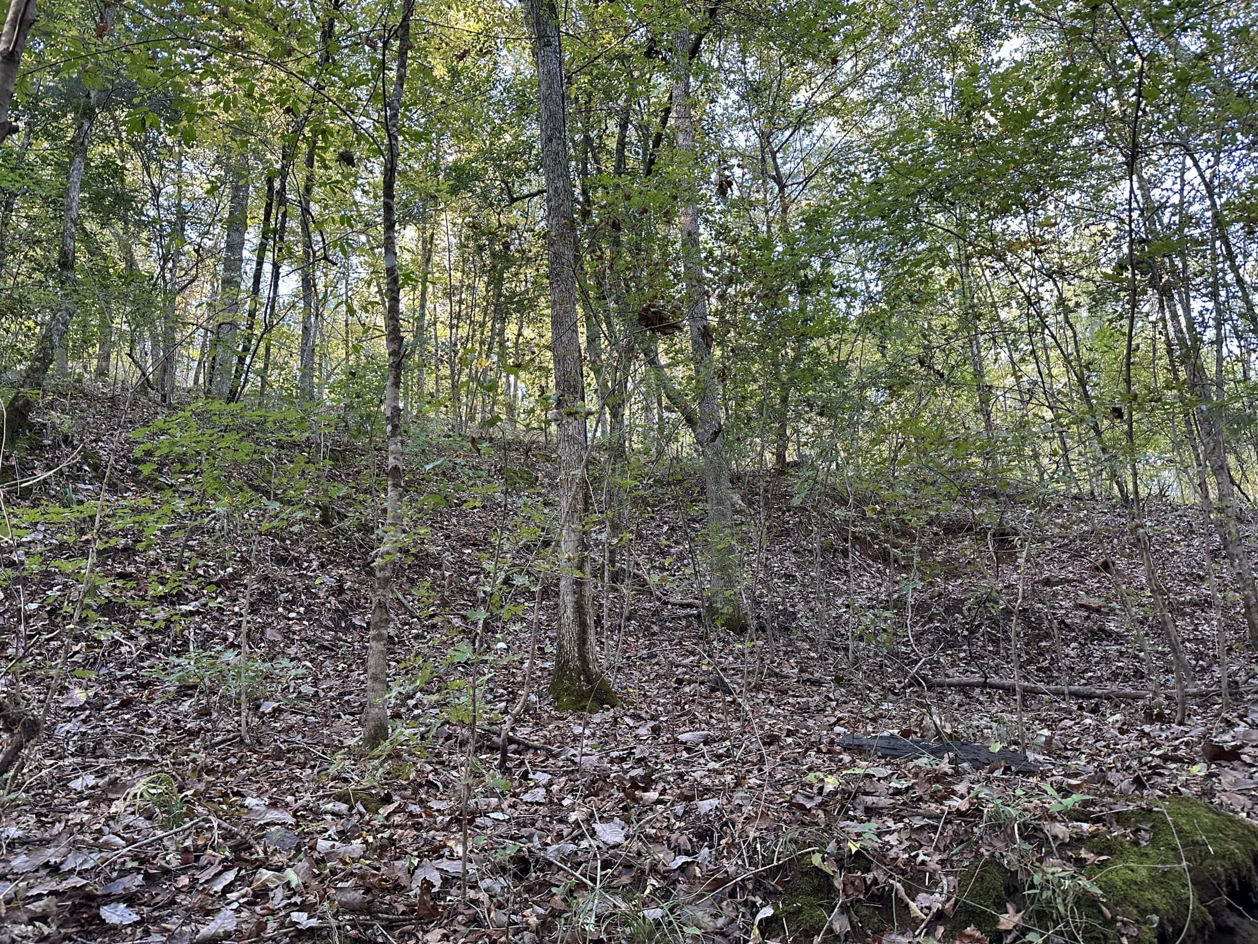 East Texas Hunting/Recreational Tract For Sale