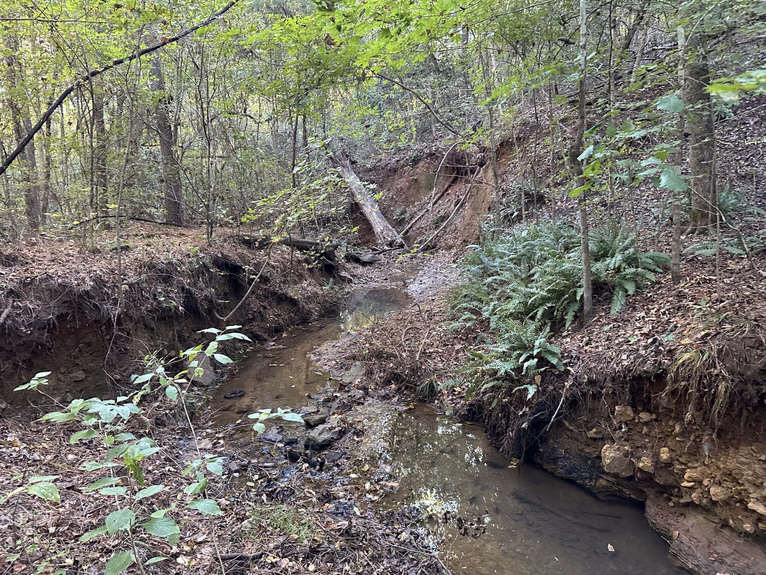 East Texas Hunting/Recreational Tract For Sale