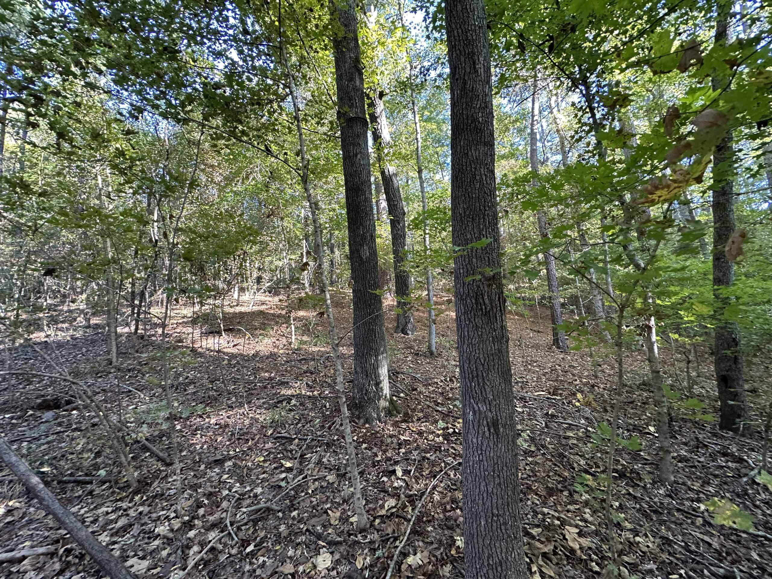 East Texas Hunting/Recreational Tract For Sale