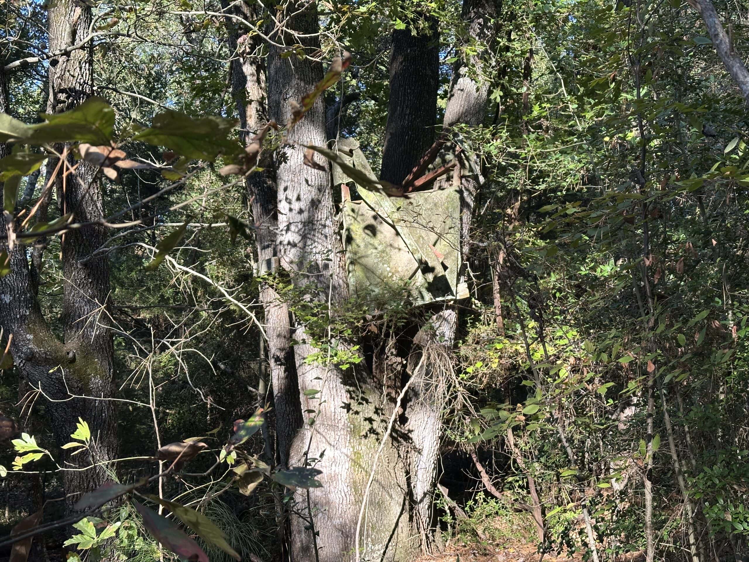 East Texas Hunting/Recreational Tract For Sale