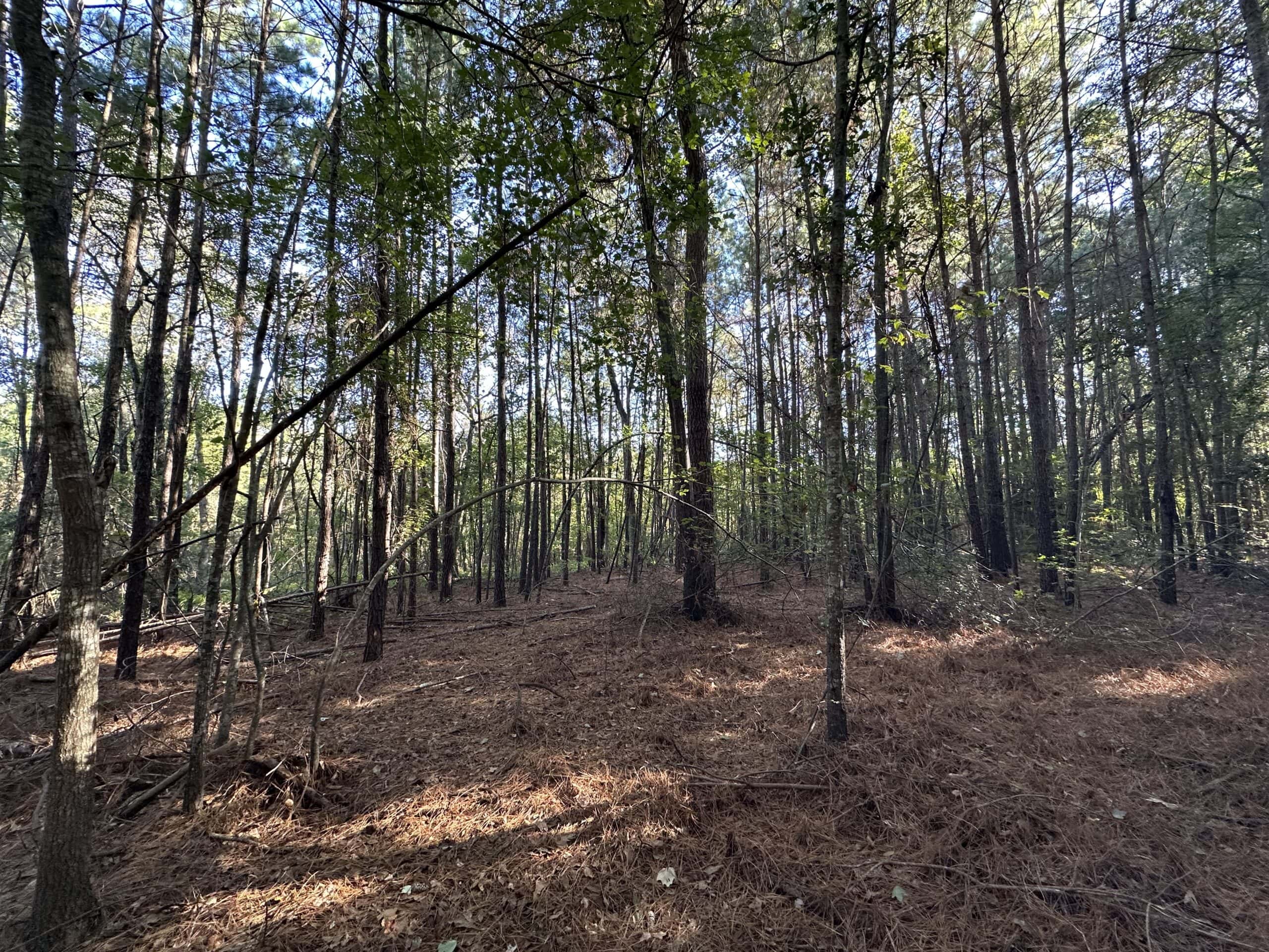 East Texas Hunting/Recreational Tract For Sale