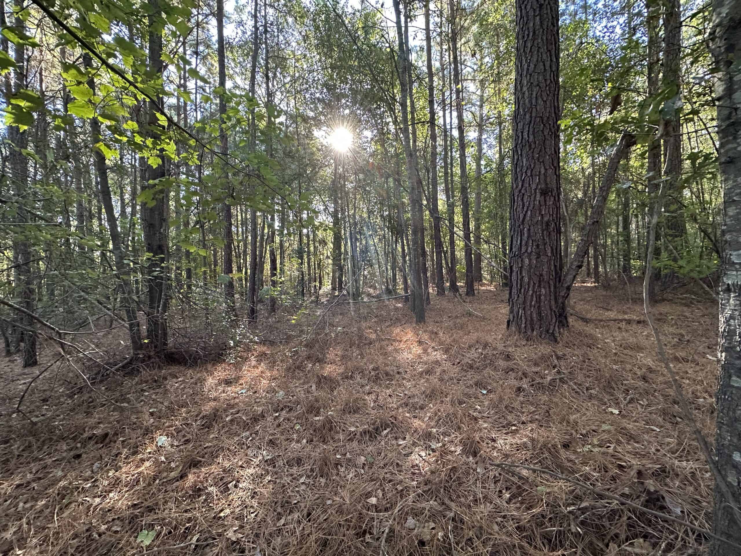East Texas Hunting/Recreational Tract For Sale
