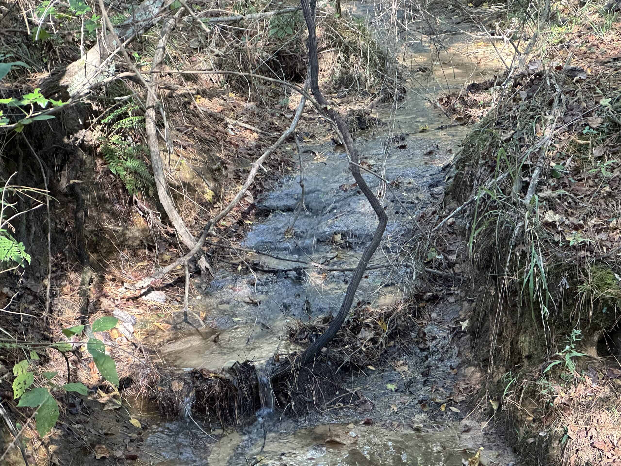 East Texas Hunting/Recreational Tract For Sale