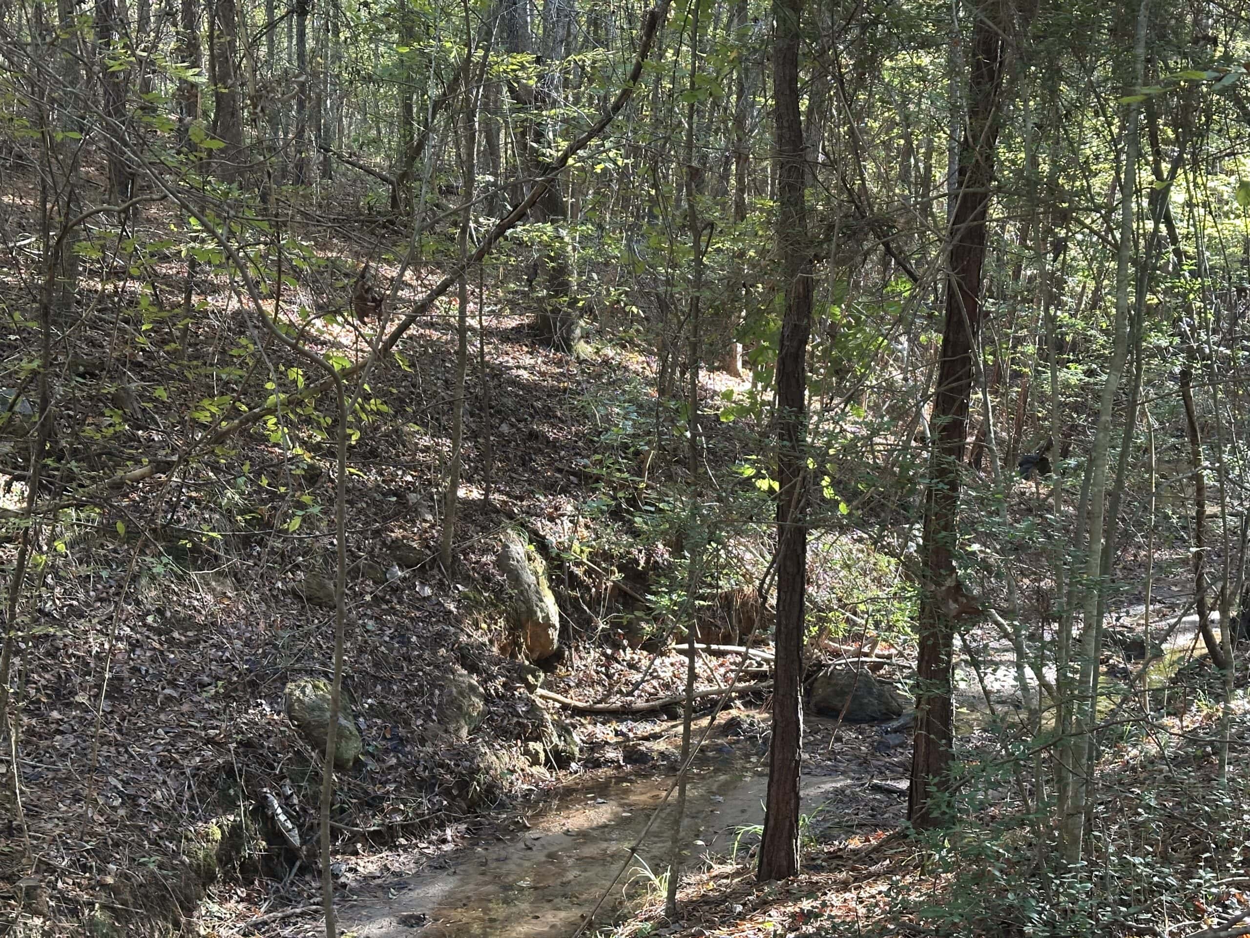 East Texas Hunting/Recreational Tract For Sale
