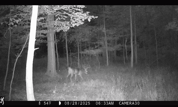 Hunting land for sale in Michigan, Hunting land for sale in Saginaw County