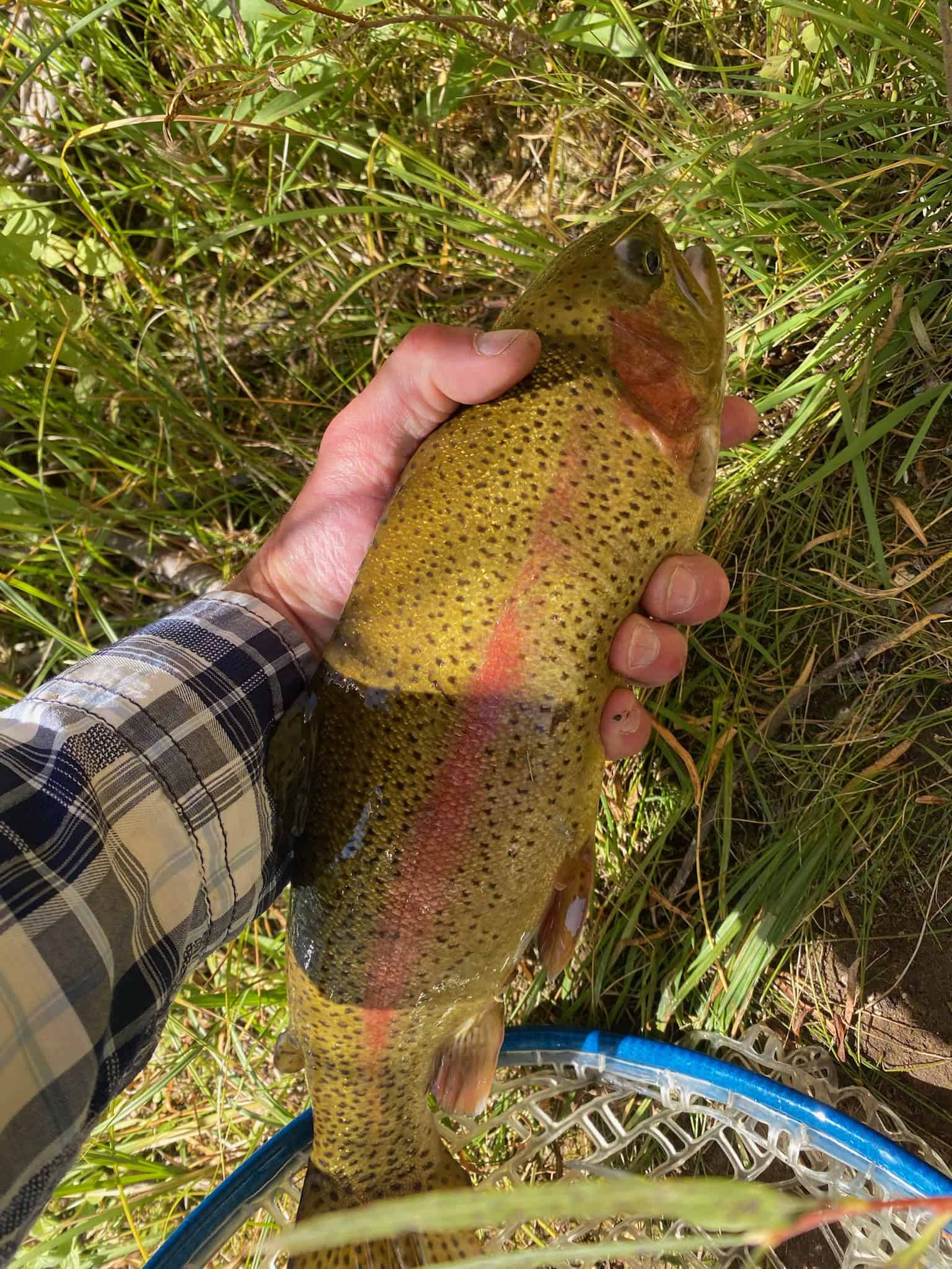 Premier Colorado Wilderness Lodge & Big Game Outfitter for Sale