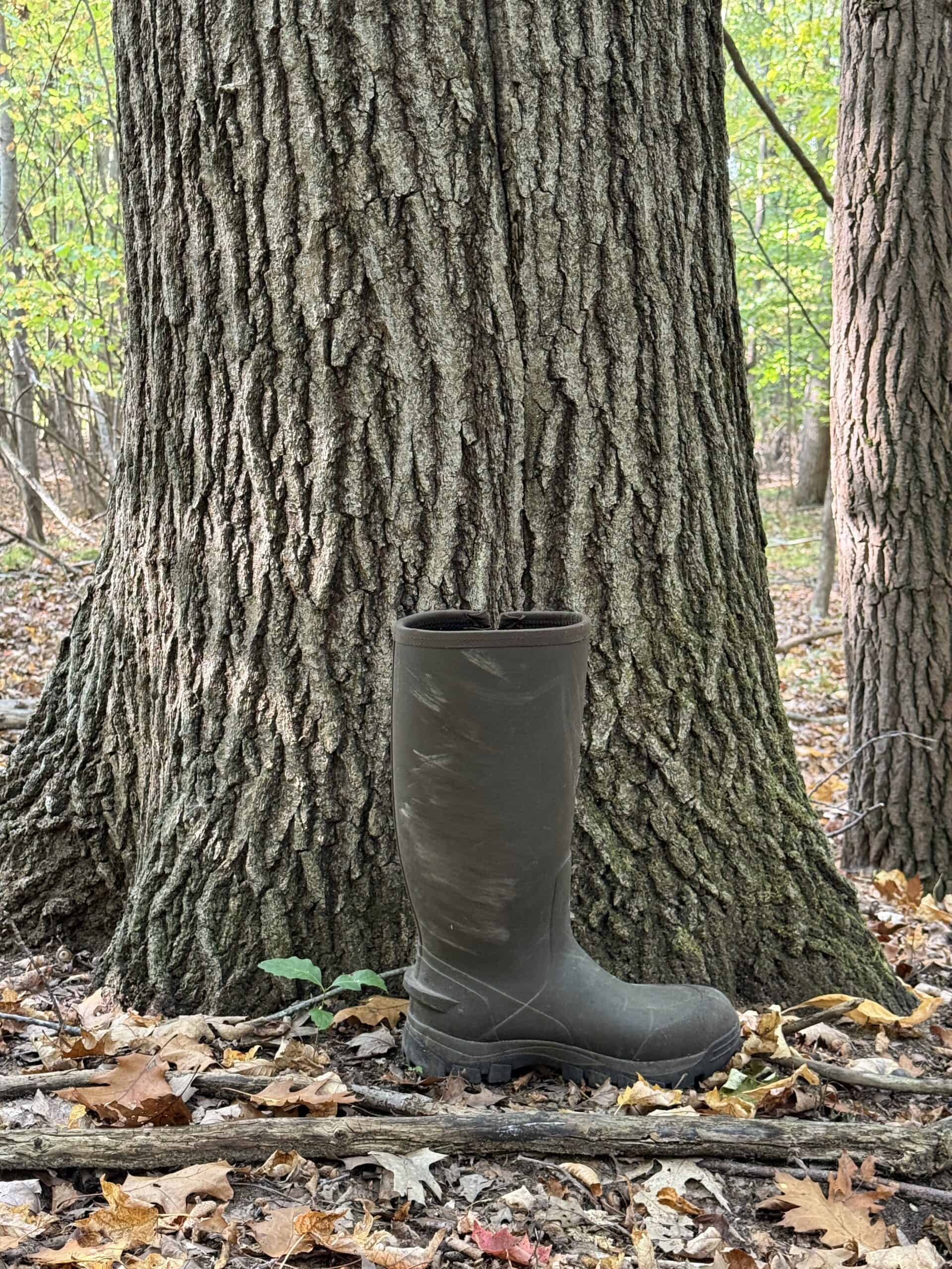 Hunting land for sale in Michigan, Hunting land for sale in Saginaw County