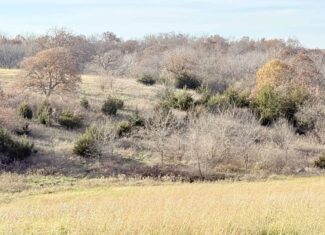 Dekalb County, Missouri • 57 Acres m/l