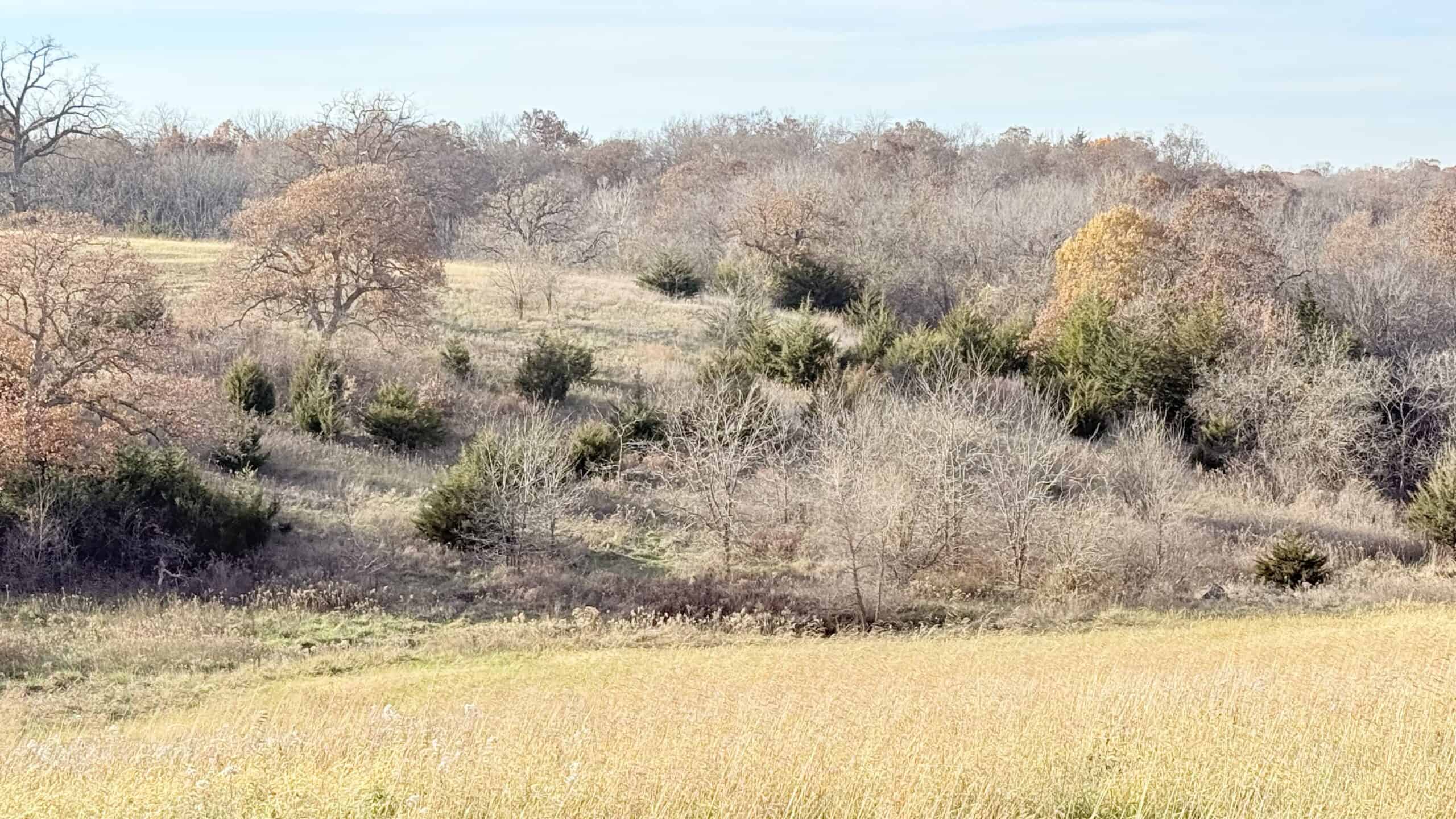 Dekalb County, Missouri • 57 Acres m/l