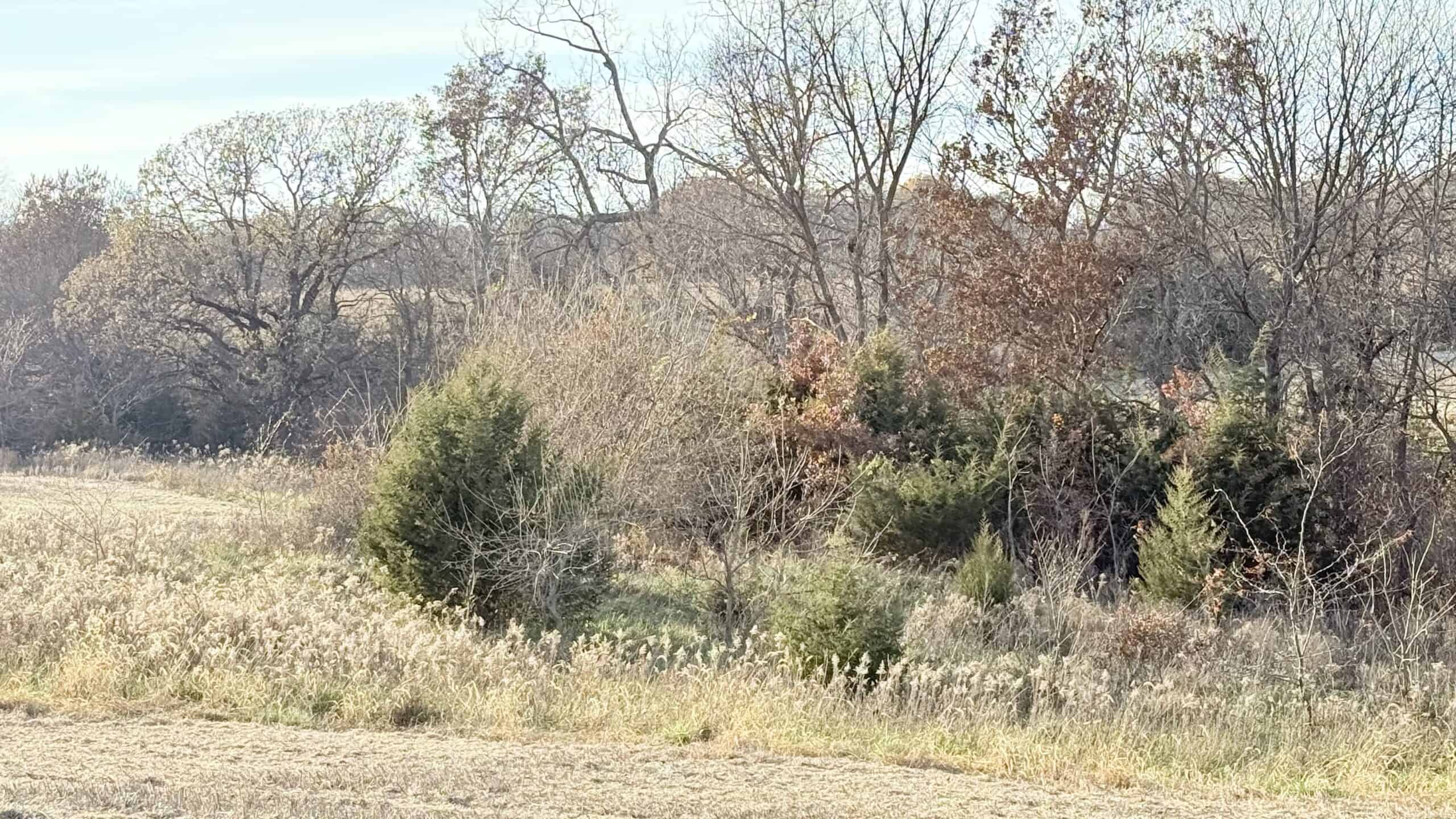 Dekalb County, Missouri • 57 Acres m/l