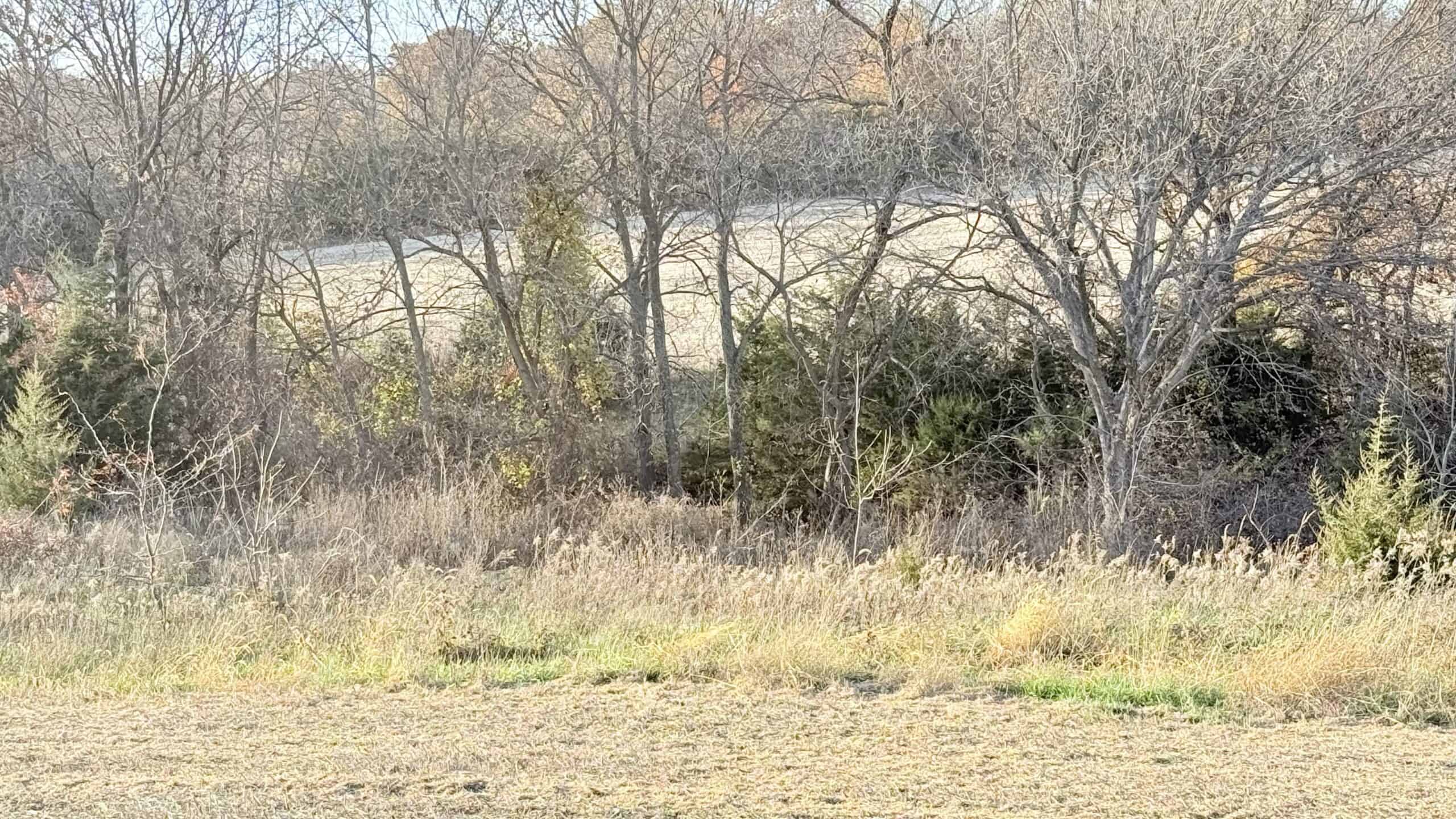 Dekalb County, Missouri • 57 Acres m/l