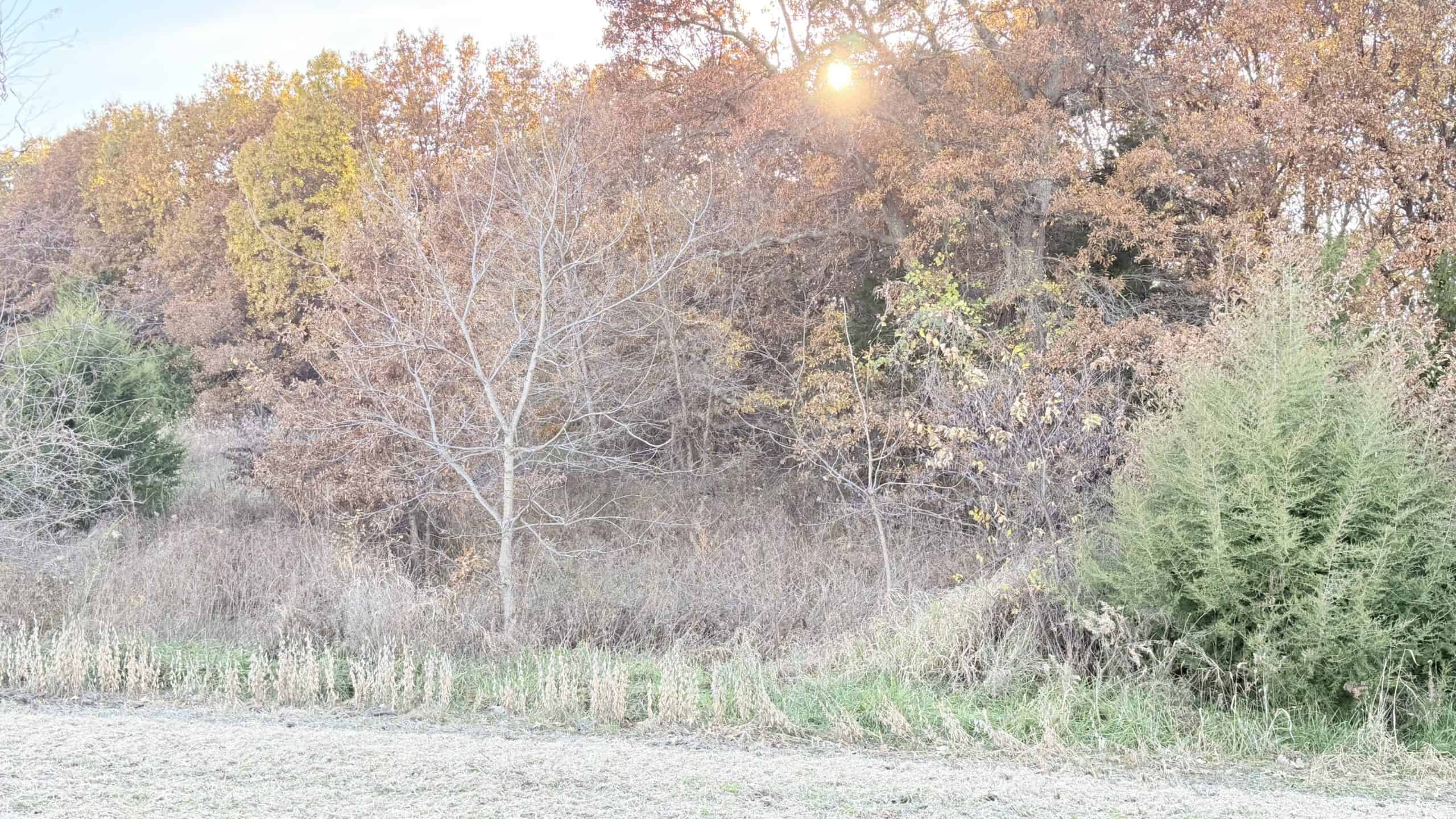 Dekalb County, Missouri • 57 Acres m/l