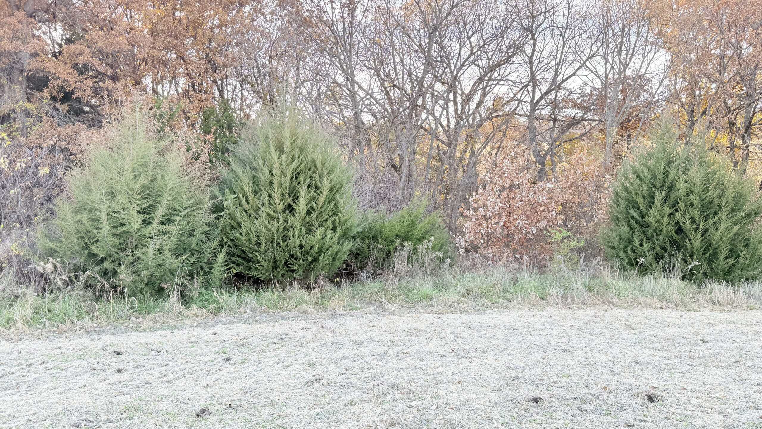 Dekalb County, Missouri • 57 Acres m/l