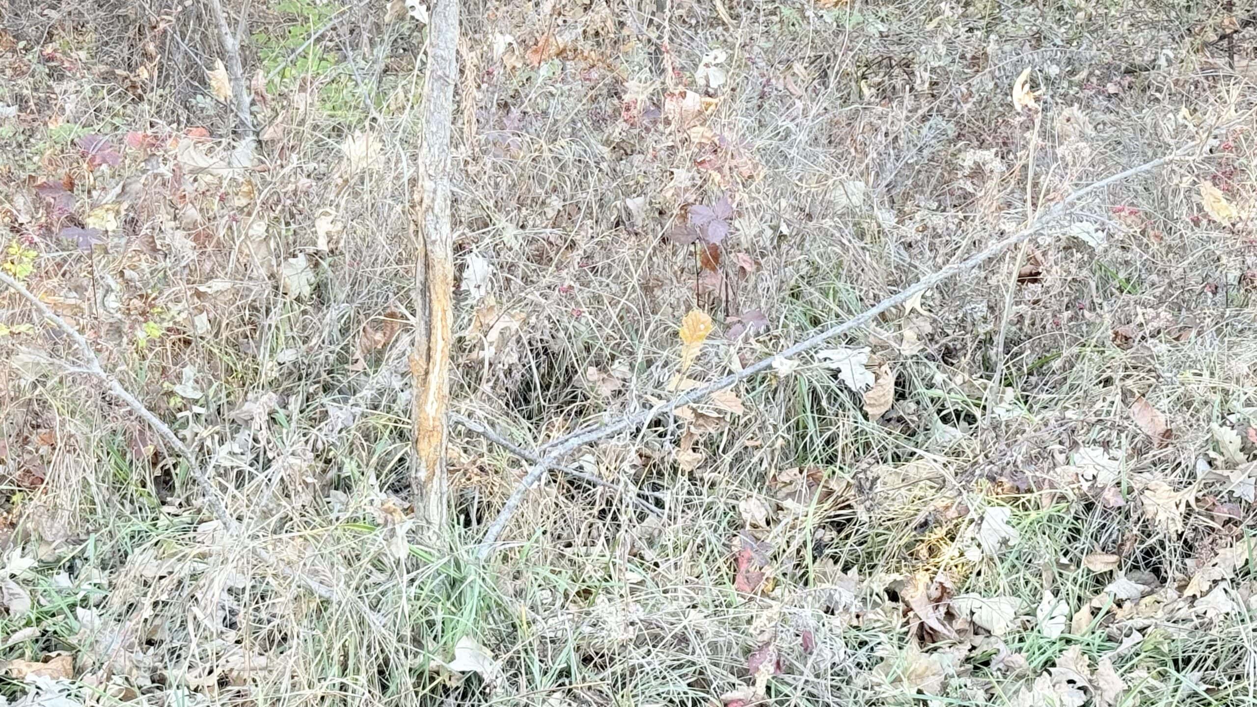 Dekalb County, Missouri • 57 Acres m/l