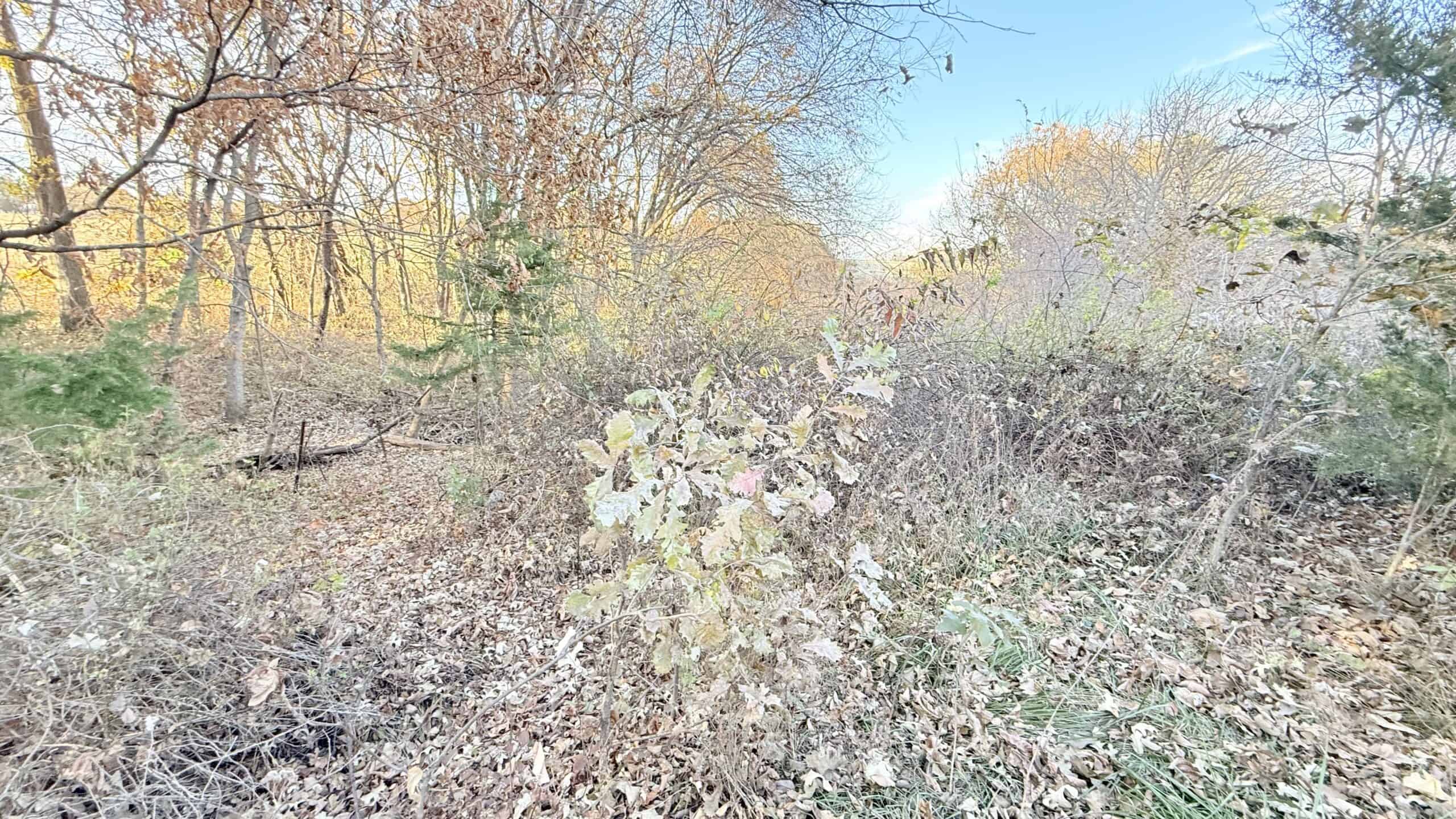 Dekalb County, Missouri • 57 Acres m/l