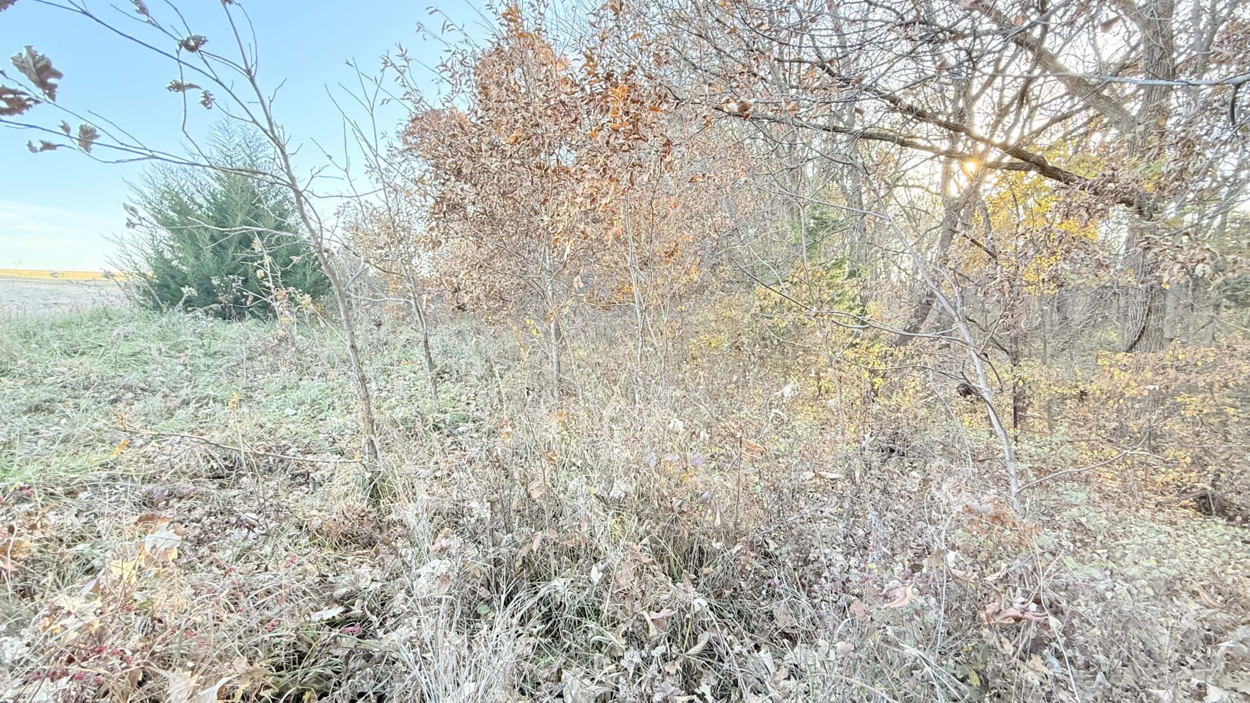 Dekalb County, Missouri • 57 Acres m/l