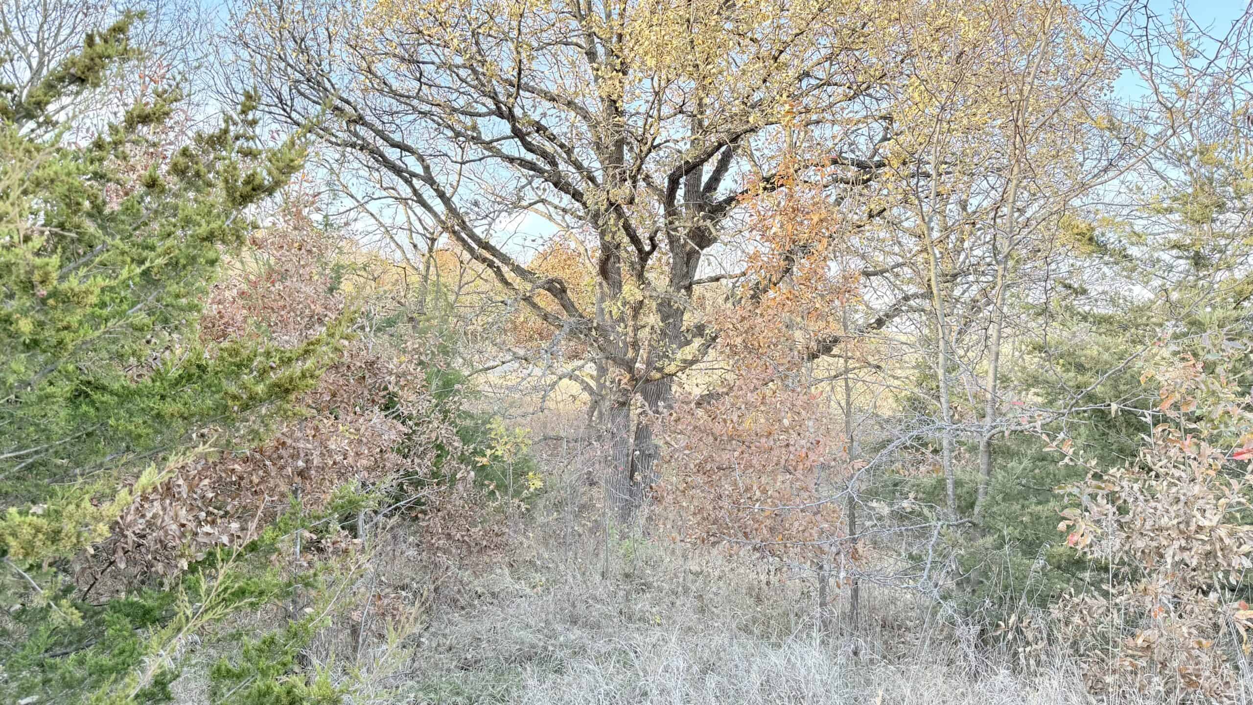 Dekalb County, Missouri • 57 Acres m/l