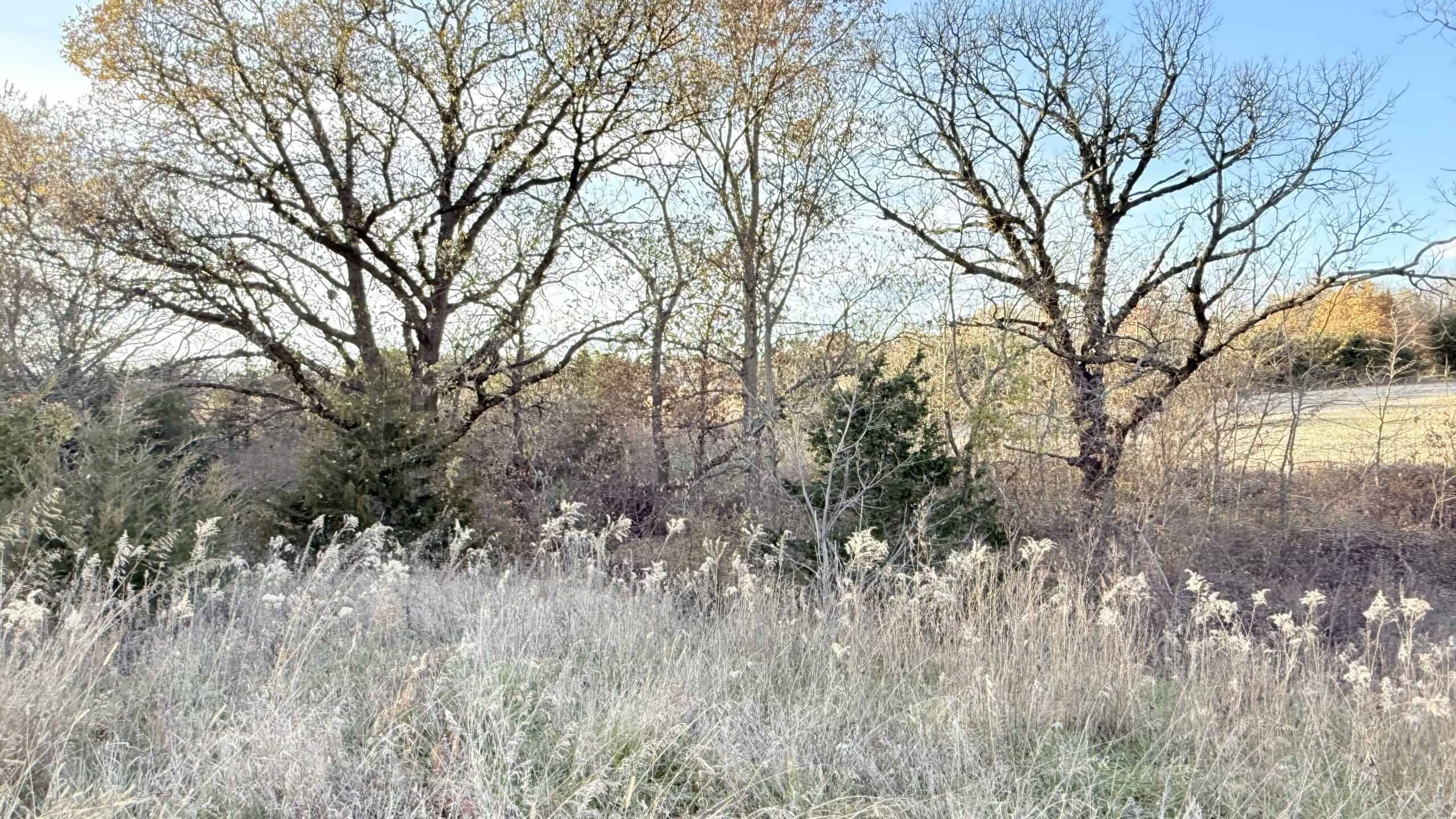 Dekalb County, Missouri • 57 Acres m/l